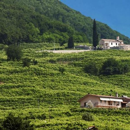 Casa Bortolin Bed and Breakfast Valdobbiadene Buitenkant foto